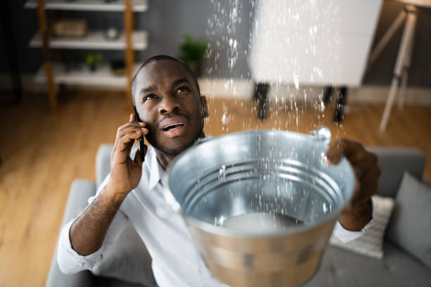 Best Mold removal after water damage  in Harkers Island, NC