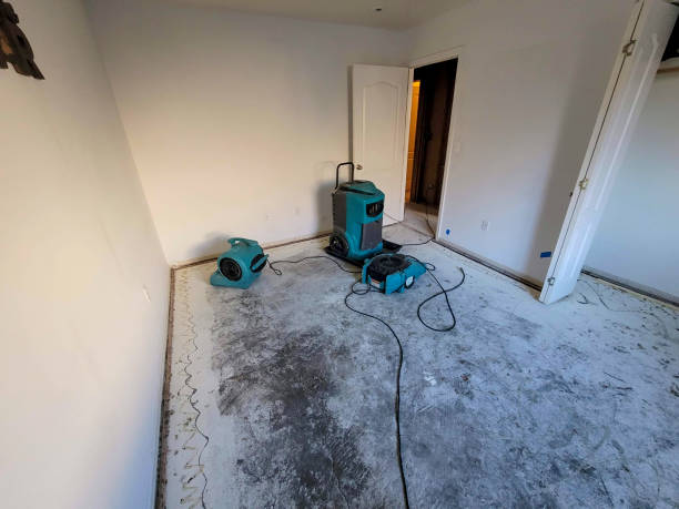 Best Basement water damage restoration  in Harkers Island, NC