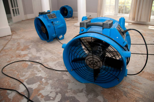 Best Professional water damage repair  in Harkers Island, NC