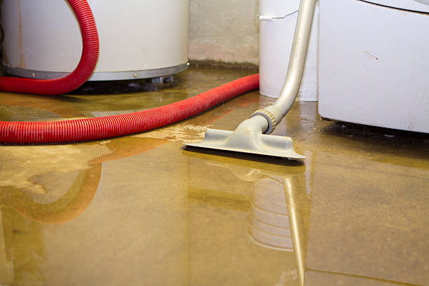 Best Water damage restoration company  in Harkers Island, NC